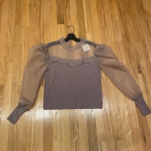 Zara sheer top